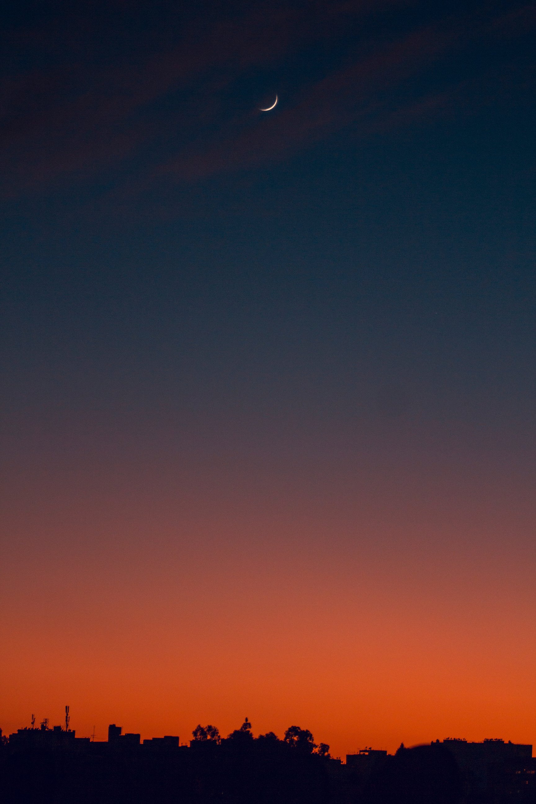 Silhouette Of Trees During Sunset